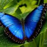 Фото профиля S.butterfly