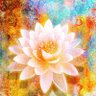 Chris John's profile picture