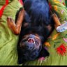 MickiIbizaofficial profil fotoğrafı