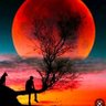 Profilbild von Elchanan_z