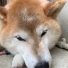 石黒博之 profil fotoğrafı