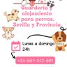 Perretes de Sevilla 的头像