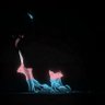 Фото профиля wɐɪf ɫʌ̟vɚːː 🔆🟢🐑⏹️