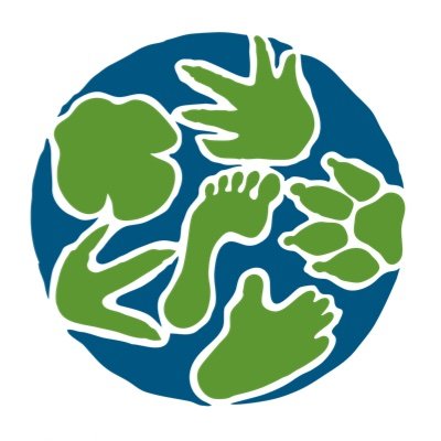 wildwarriors's profile picture