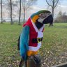 Фото профиля Parrothead
