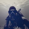 ADM profil fotoğrafı