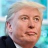 Фото профиля Elon Trump