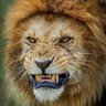 agreenn 👑 profil fotoğrafı