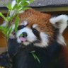 Фото профиля benjamin zhang
