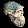 Profilbild von Sisyphus UNHappy