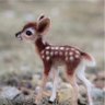 🦌's profile picture