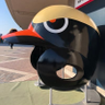 かしわ profil fotoğrafı