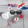 🌹🍷🇯🇵 GiGi 🇯🇵😎🤞's profile picture