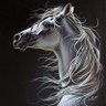 منيره 🦋🖋️ profil fotoğrafı