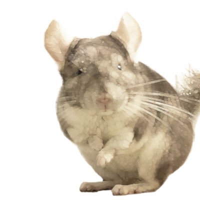 ちゃちゃまると下僕's profile picture