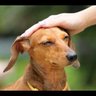 Tmytrnr profil fotoğrafı