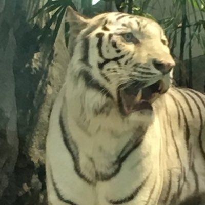 sMWhx2NnLXuXQSE's profile picture