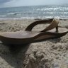 Flip Flop profil fotoğrafı