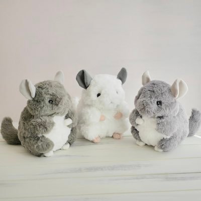 Chinchilla_Mark's profile picture