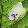 Фото профиля Cedric Probst
