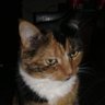 Deanne profil fotoğrafı