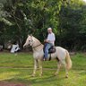Gerlim profil fotoğrafı