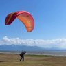 Seward's Folly 的头像