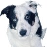 Profilbild von John