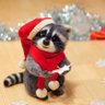 Hugcoon 的头像