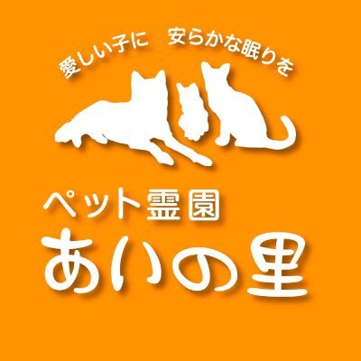 pIUTZLpK2sMuBA4's profile picture