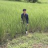 Фото профиля เอ็ม.เด็กบ้านนอน