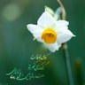 Profilbild von ❤️☫💚mohamad