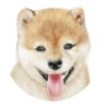 鈴寿楽's profile picture