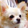 なんでやねん's profile picture