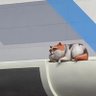 ããš's profile picture