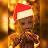 Фото профиля GROOT