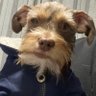 Profilbild von Jeff