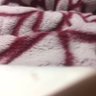 まつとと 的头像