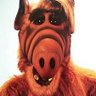 Gordon Shumway's profile picture