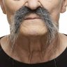 Kourosh vali mahani profil fotoğrafı