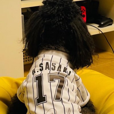 roukisasakii's profile picture