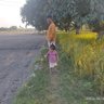 Aditya ☀ profil fotoğrafı