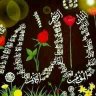 @nounou_1981's profile picture