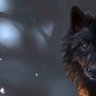 Link profil fotoğrafı