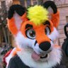 Pepper Fox 🔜 NFC profil fotoğrafı