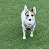 プリン's profile picture