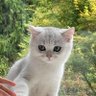 Ming Xu profil fotoğrafı