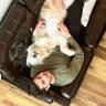Shane M profil fotoğrafı