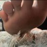 little tiny benny 的头像