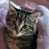 Фото профиля Niko